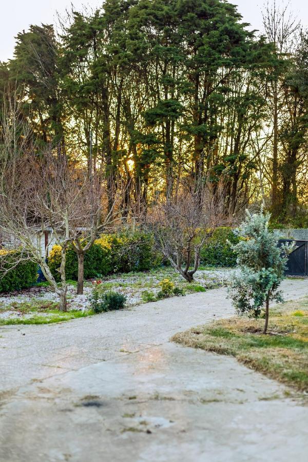 Yellow Door Cabin Near Beach With Big Outdoor Space Vila Nova de Gaia Buitenkant foto